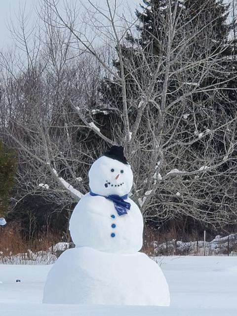 Snowman Snownan